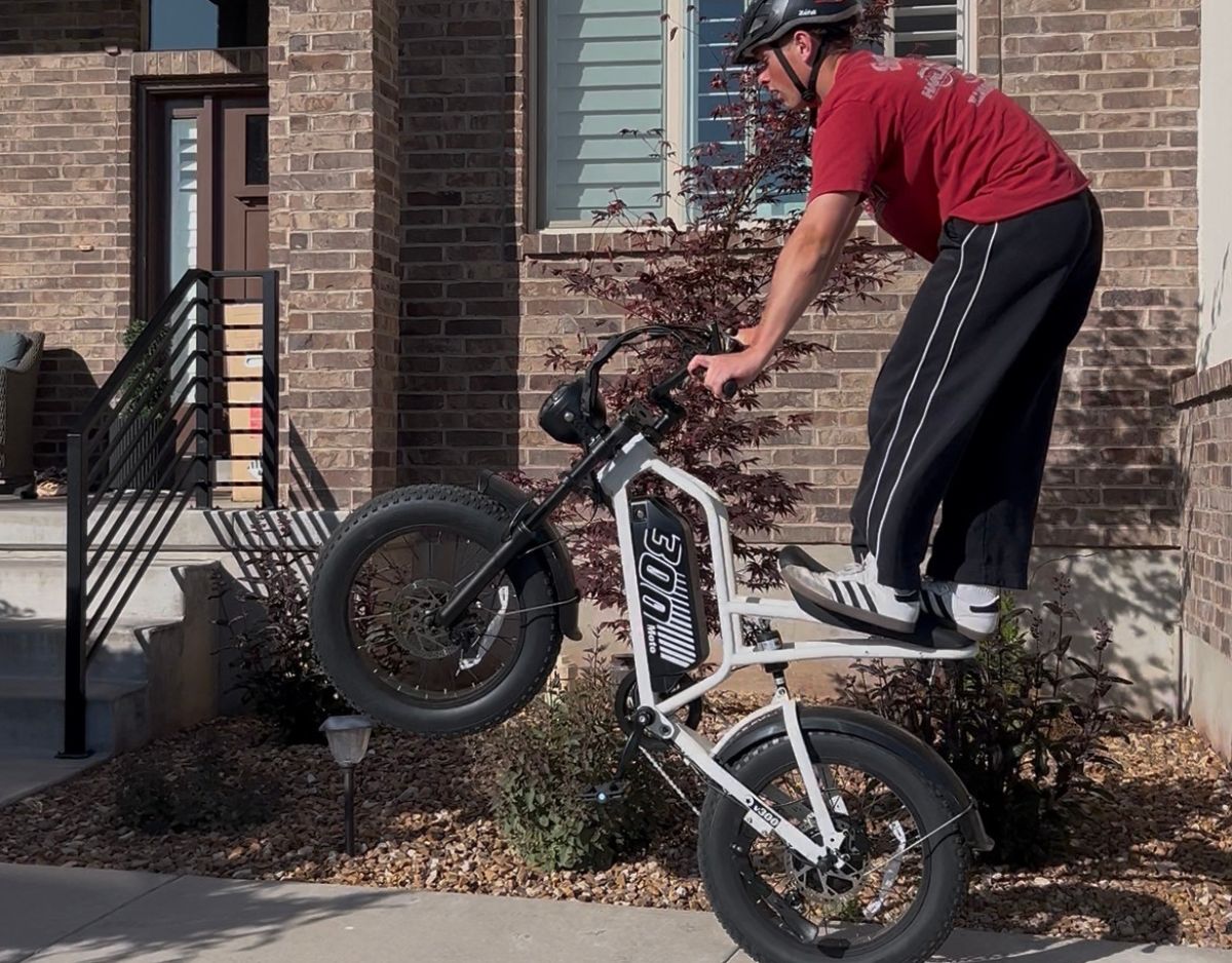 Eskute® V300 20*4.0" Electric Dirt Bike