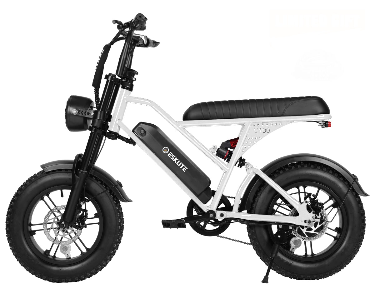 Eskute® V100 16*4.0" Electric Bike for Kids &Teens