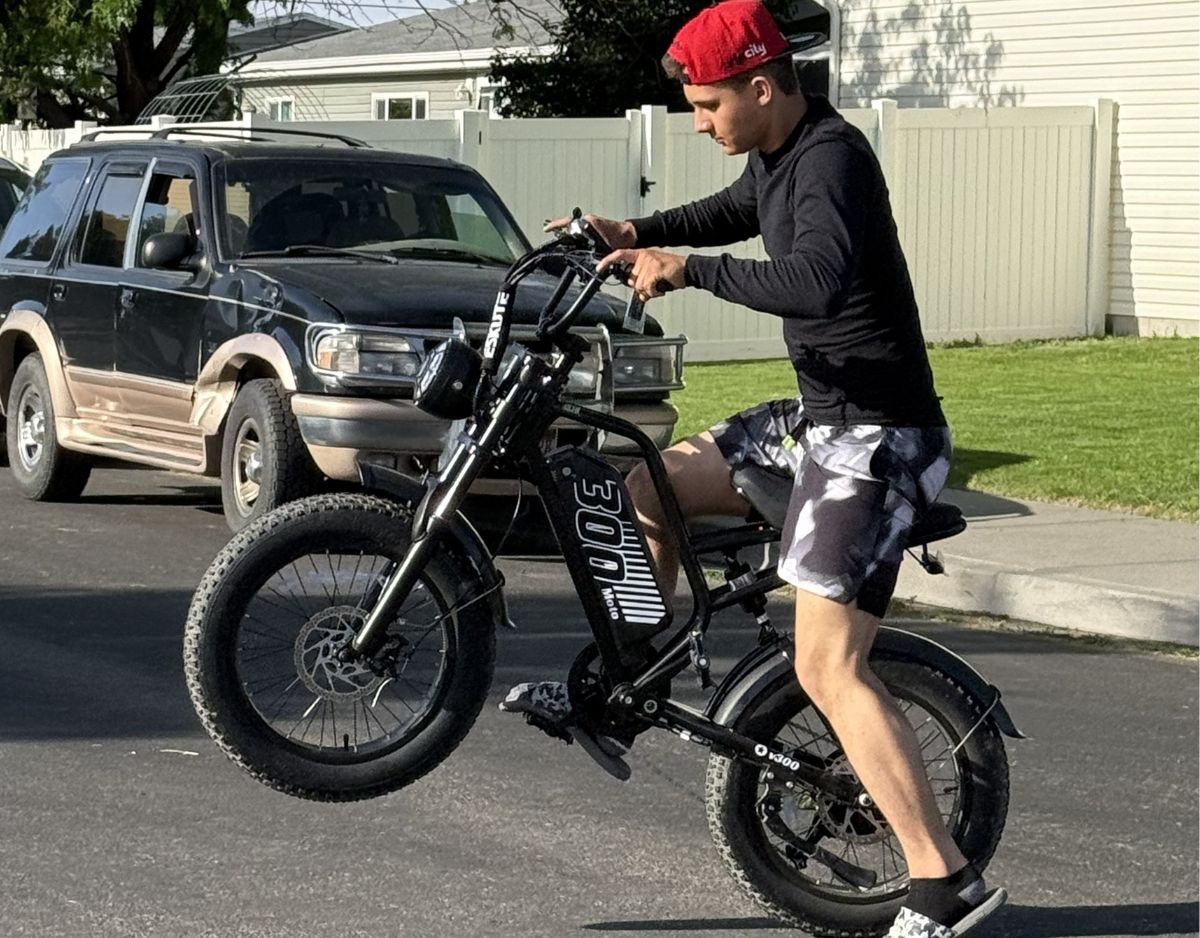 Eskute® V300 20*4.0" Electric Dirt Bike
