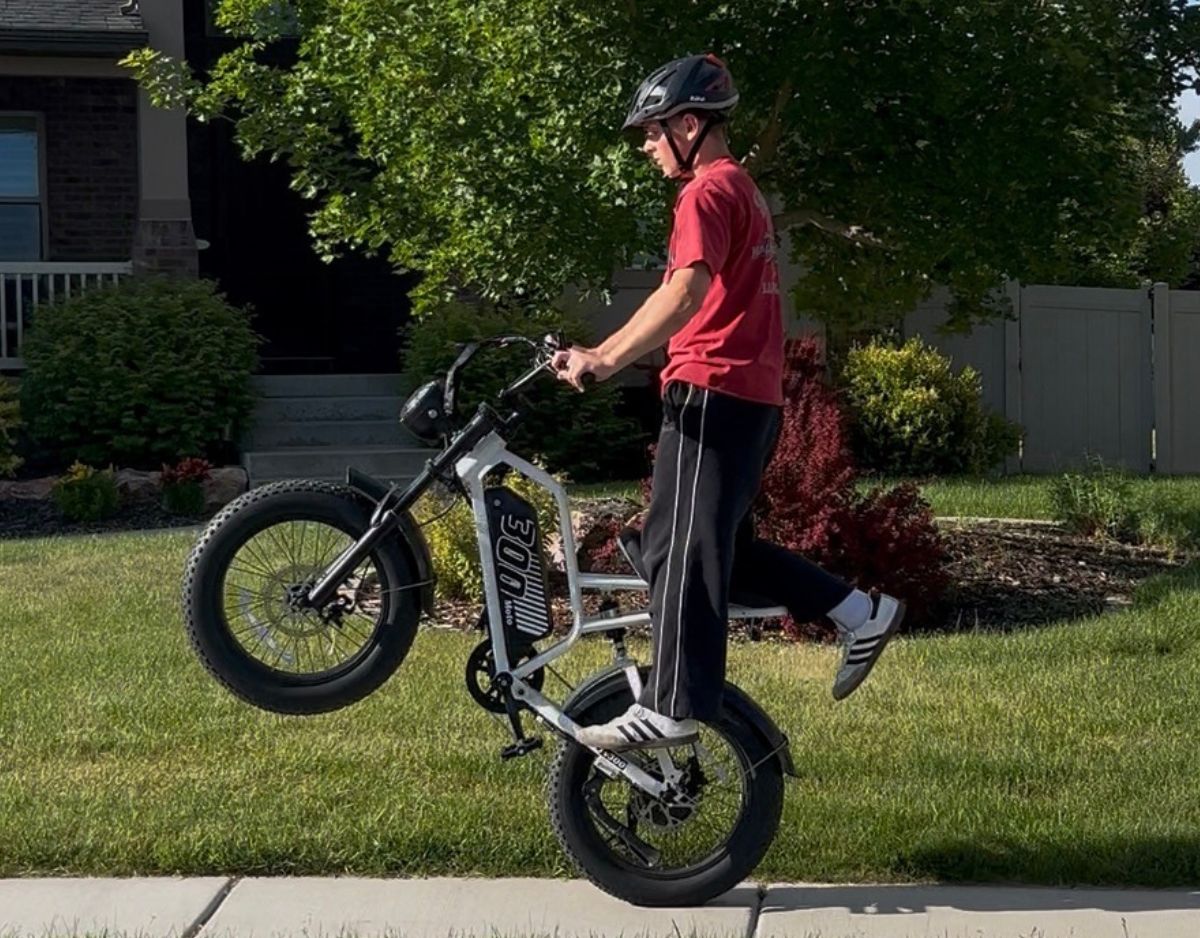 Eskute® V300 20*4.0" Electric Dirt Bike