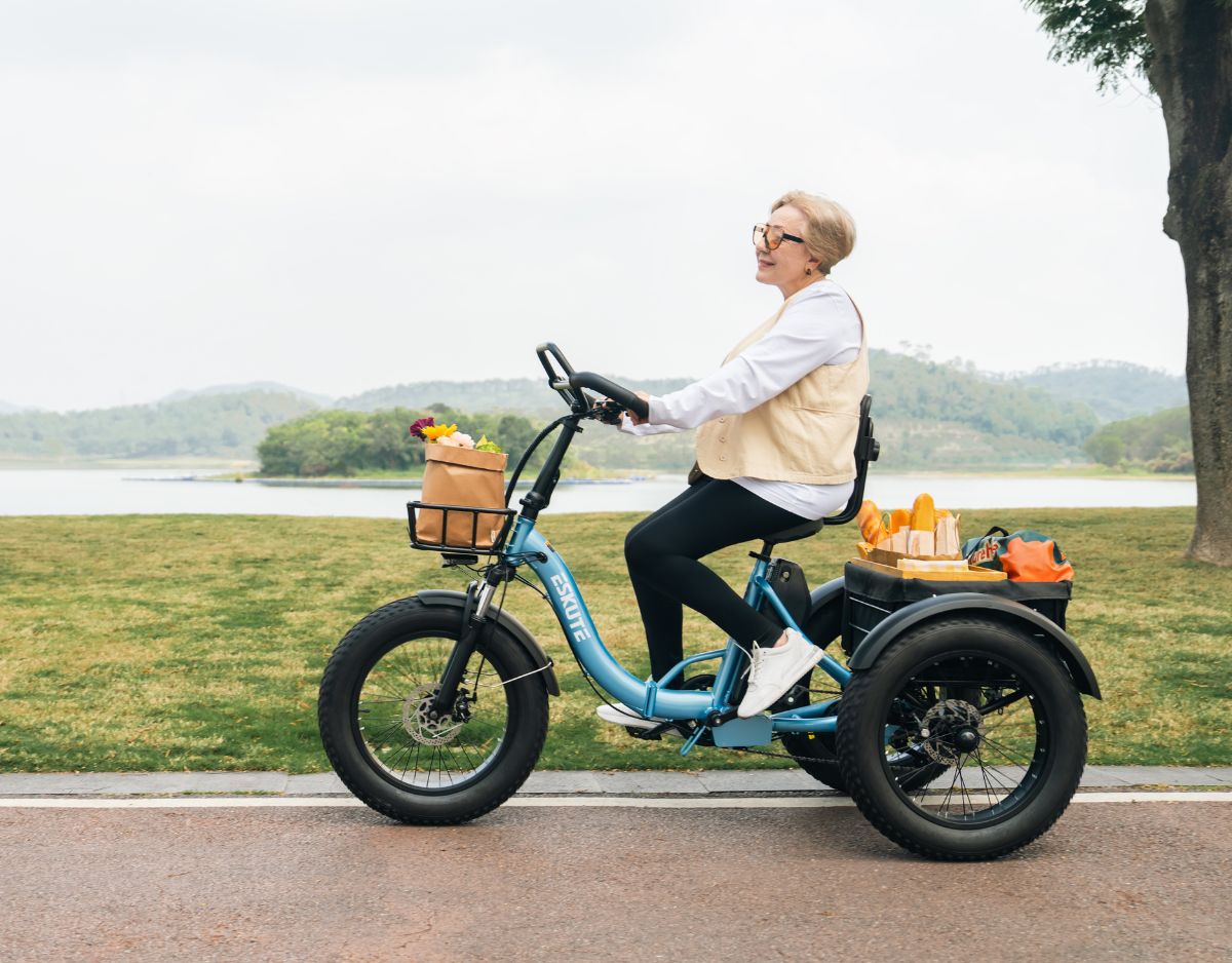 Eskute® T300Pro Folding Electric Trike