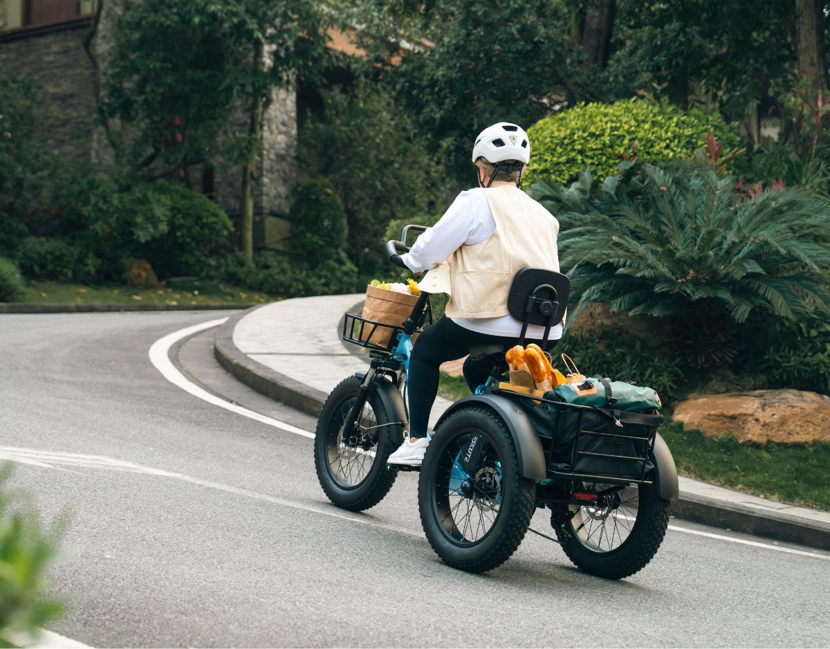 Eskute® T300Pro Folding Electric Trike