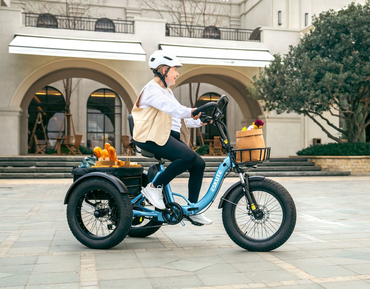 Eskute® T300Pro Folding Electric Trike