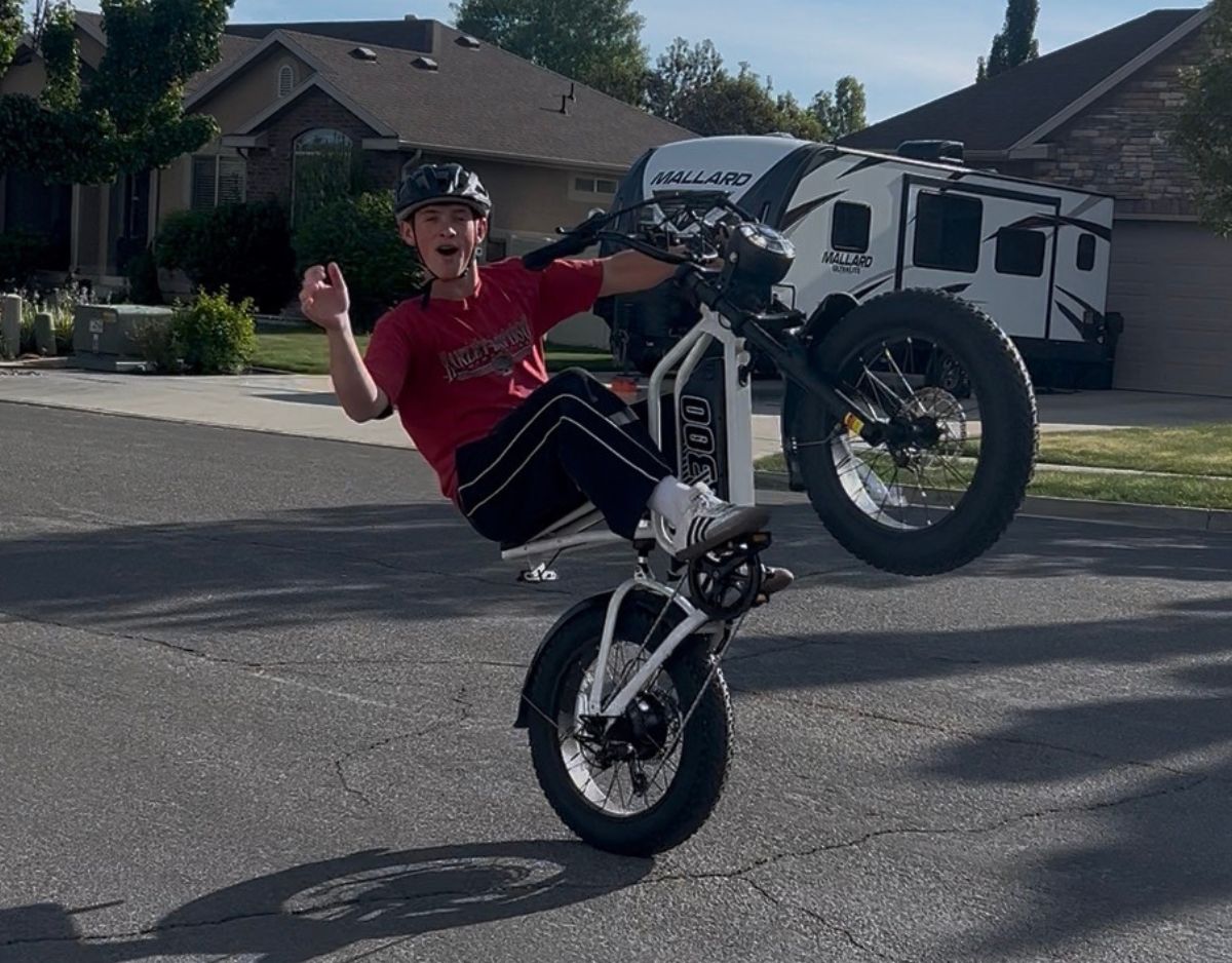 Eskute® V300 20*4.0" Electric Dirt Bike