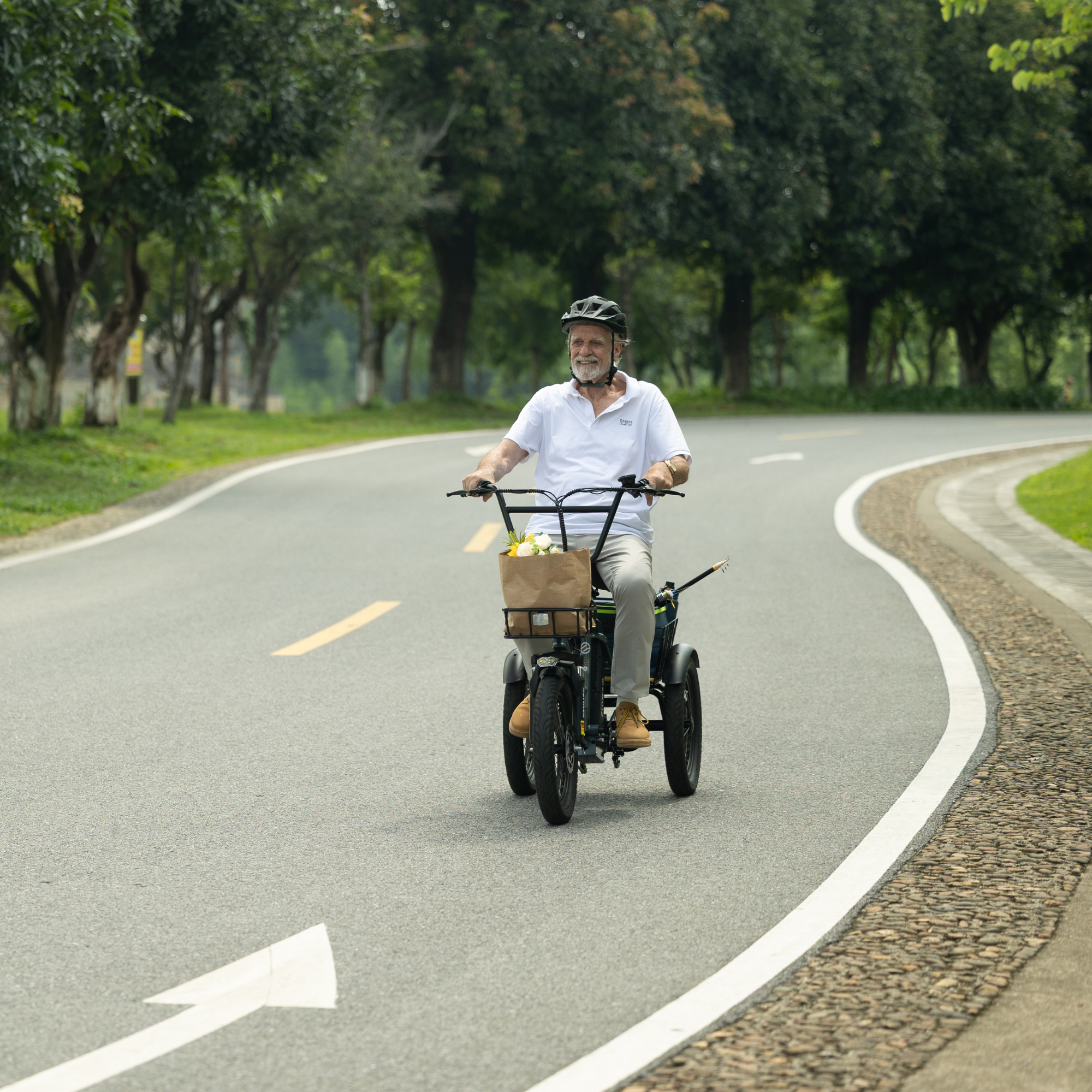 Tricycle électrique pliable Eskute® T300