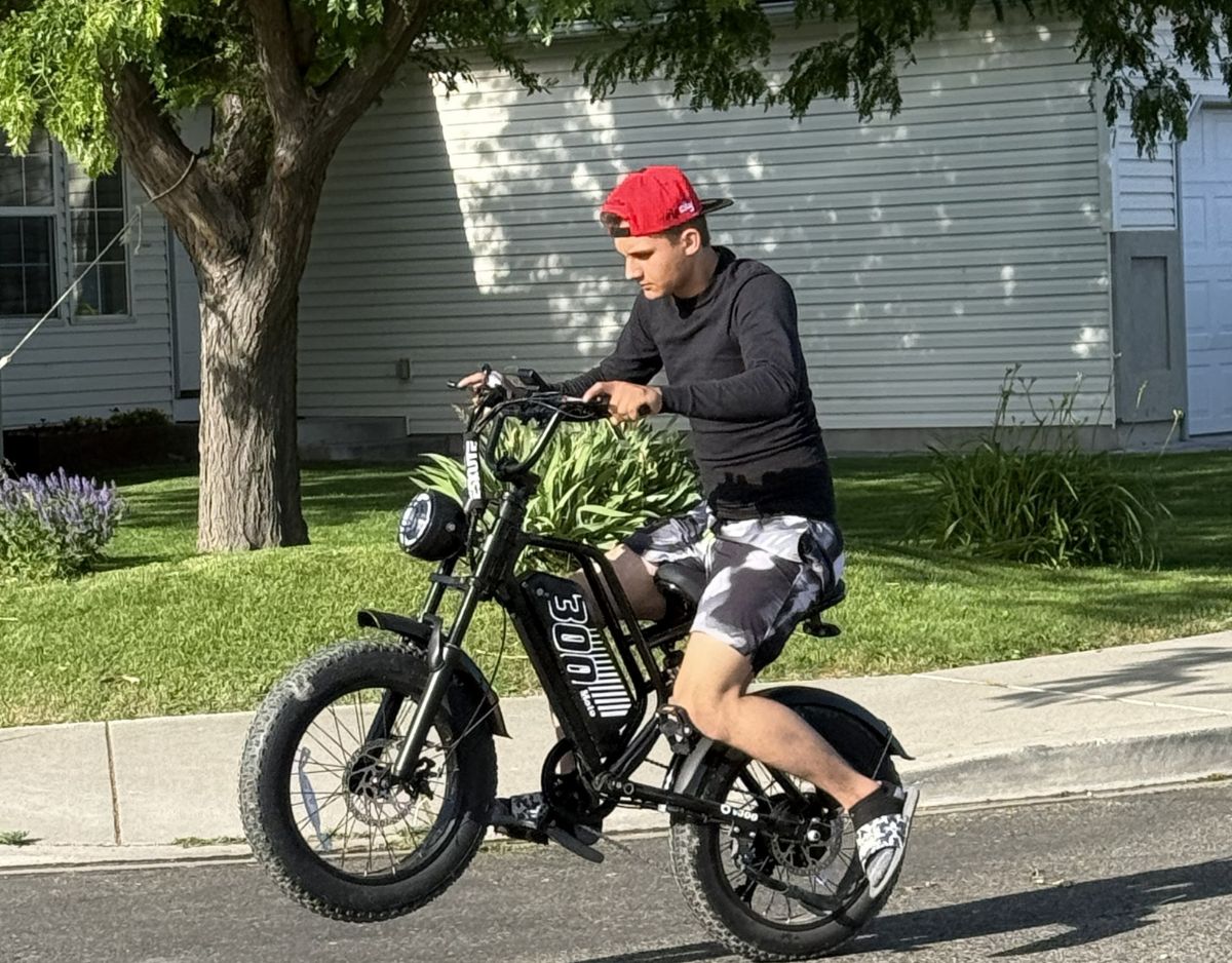 Eskute® V300 20*4.0" Electric Dirt Bike